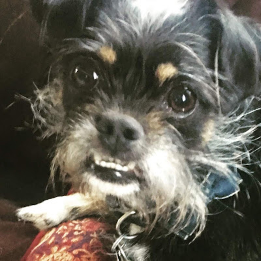 Meet your Posher, Cherie